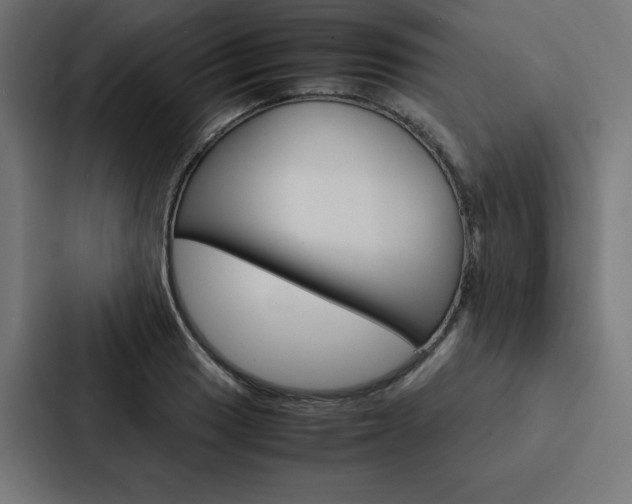 X0000088191033200705150955