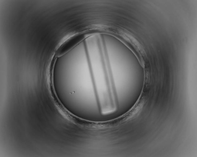 X0000088191034200705150955