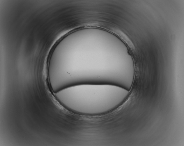 X0000088191036200705150955