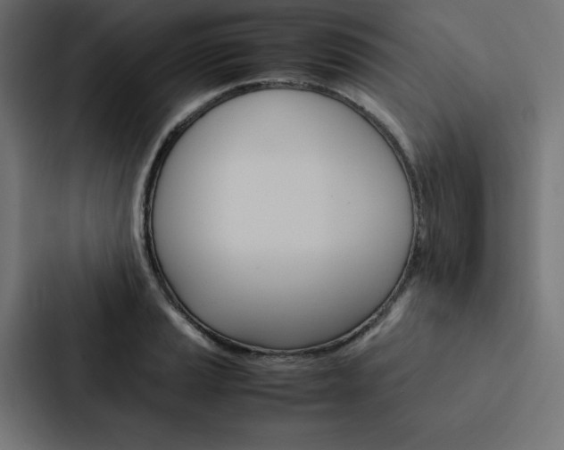 X0000088191037200705150955