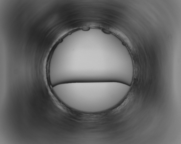 X0000088191039200705150955