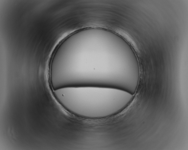 X0000088191040200705150955