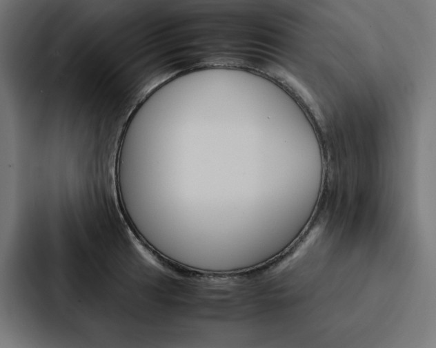 X0000088191041200705150955