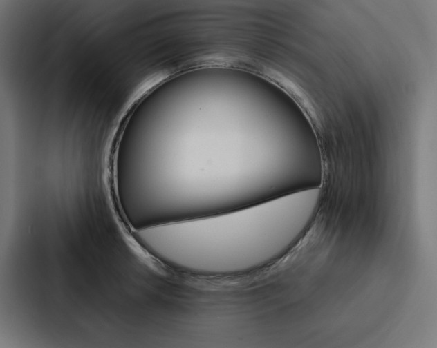 X0000088191042200705150955