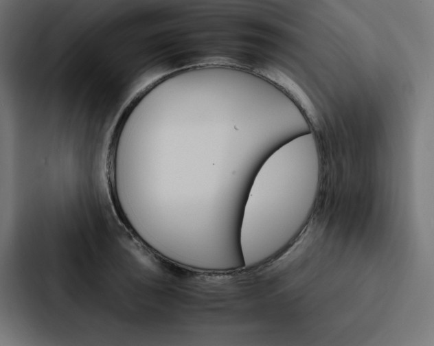 X0000088191043200705150955