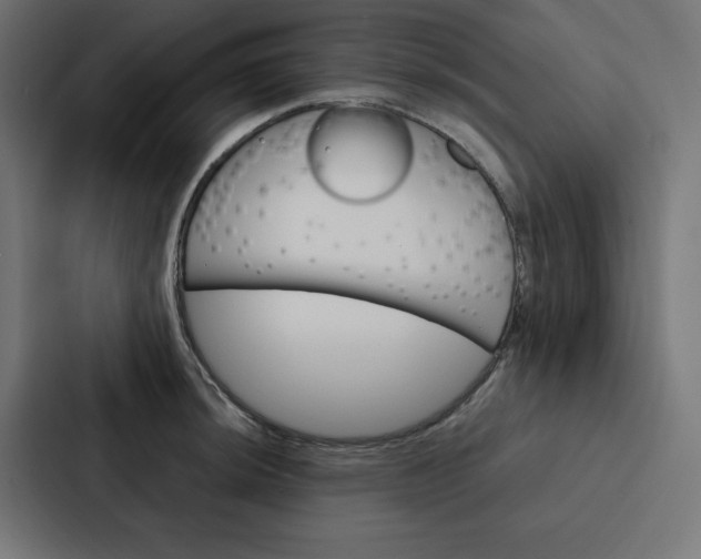 X0000088191044200705150955