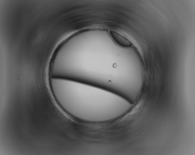 X0000088191045200705150955