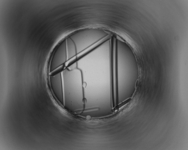 X0000088191046200705150955