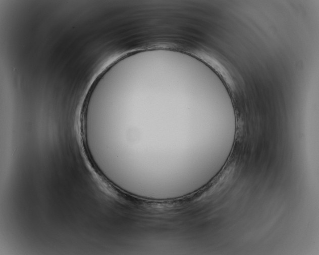 X0000088191047200705150955