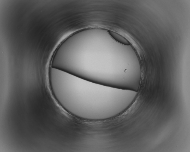 X0000088191048200705150955