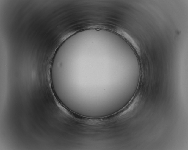 X0000088191049200705150955