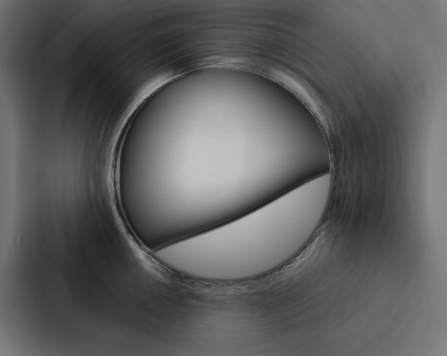 X0000088191050200705150955