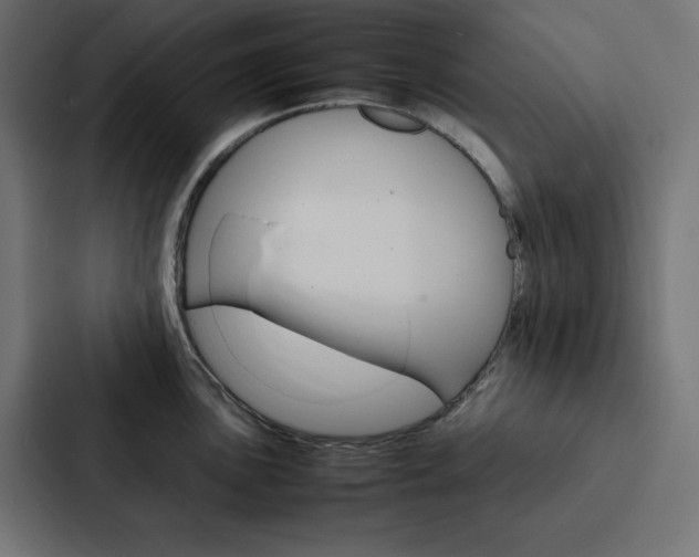 X0000088191051200705150955