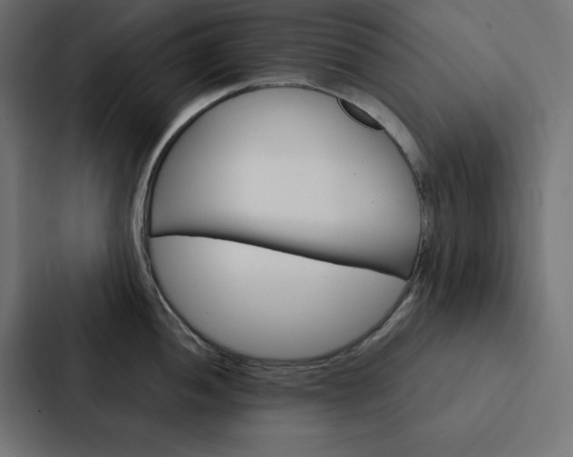 X0000088191052200705150955