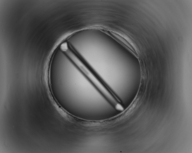 X0000088191054200705150955