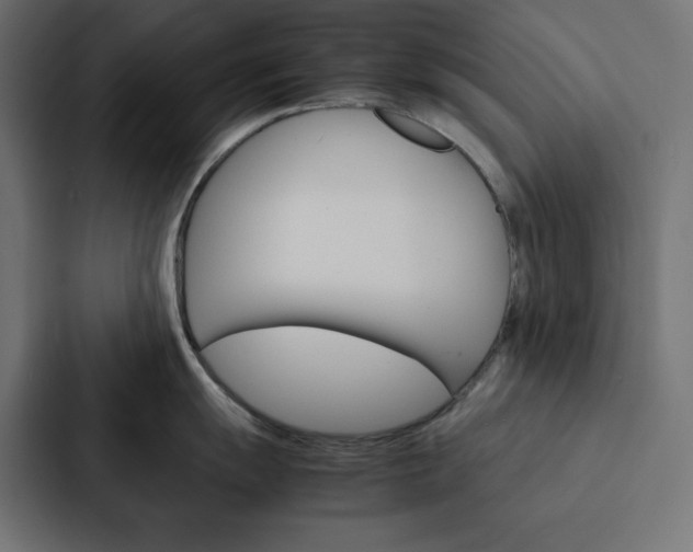 X0000088191055200705150955