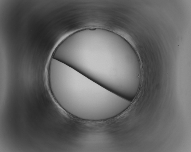 X0000088191056200705150955