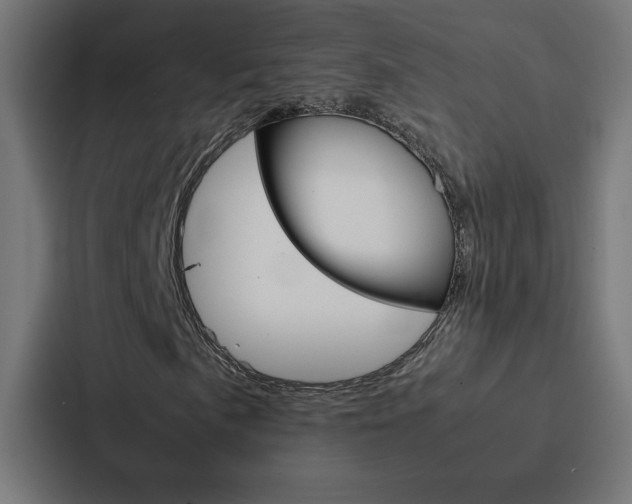 X0000088191057200705150955