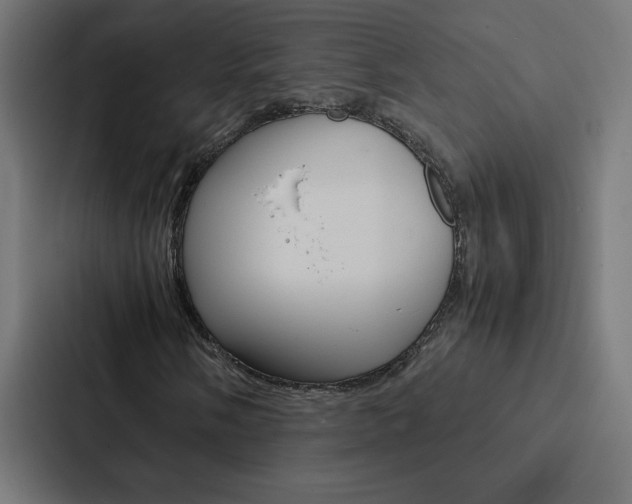 X0000088191058200705150955
