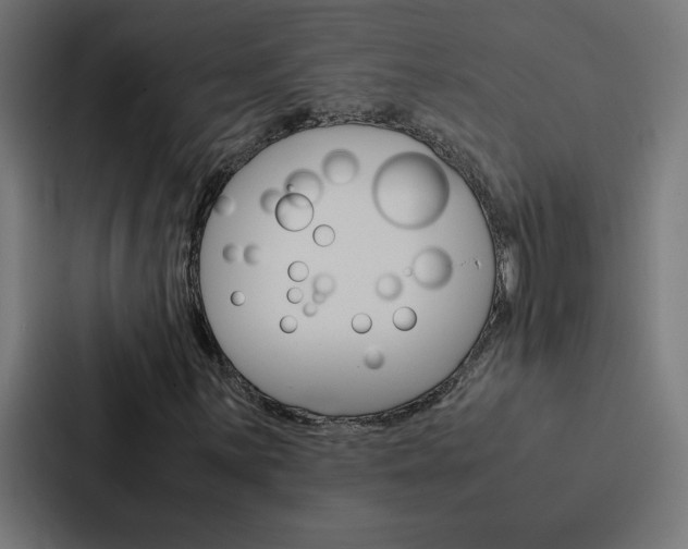 X0000088191059200705150955