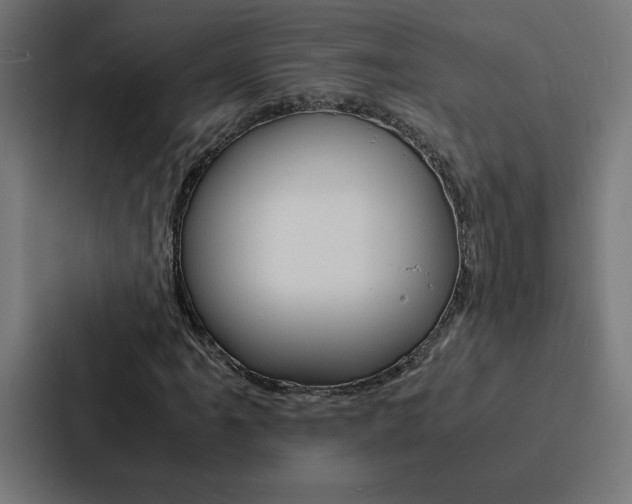 X0000088191061200705150955
