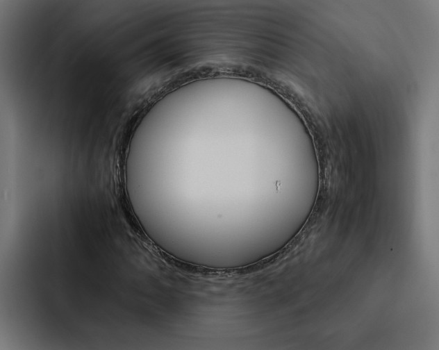 X0000088191062200705150955
