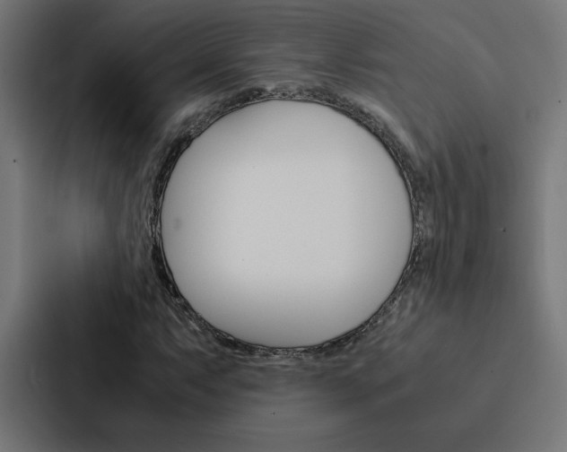 X0000088191063200705150955