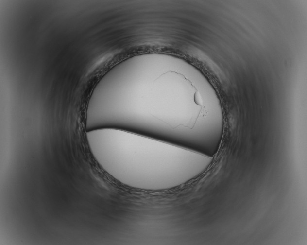 X0000088191064200705150955