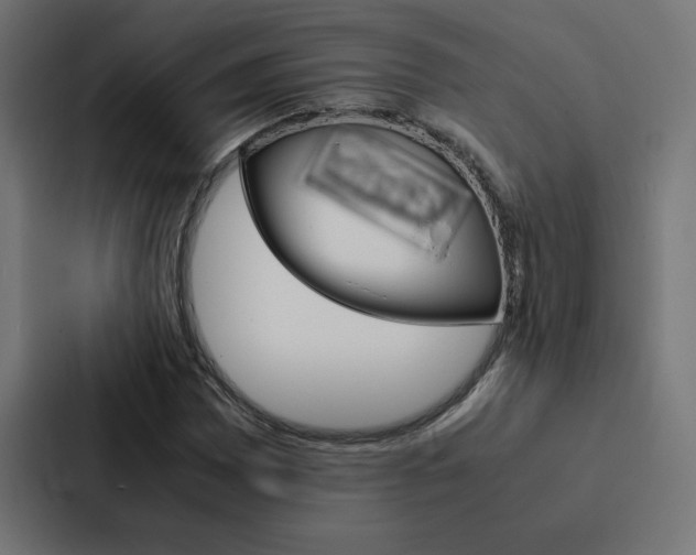 X0000088191065200705150955