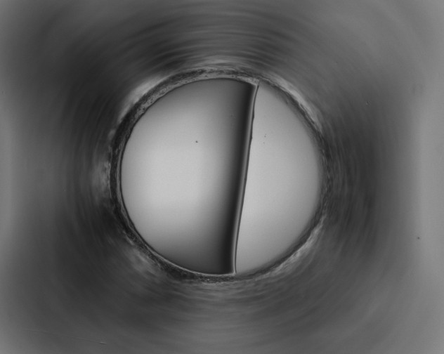 X0000088191066200705150955