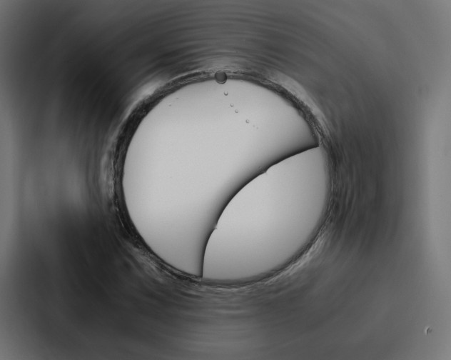 X0000088191067200705150955