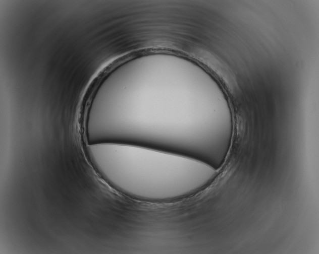 X0000088191068200705150955