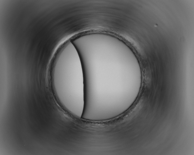 X0000088191070200705150955