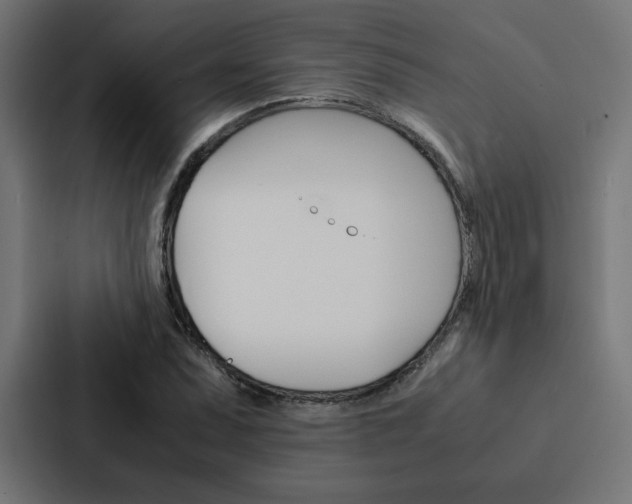 X0000088191071200705150955