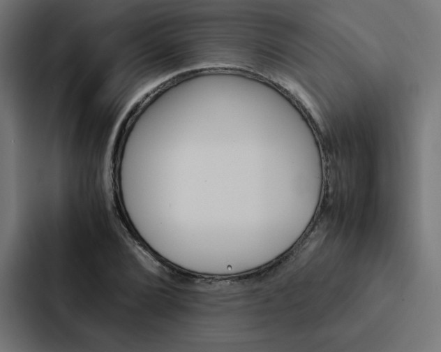 X0000088191072200705150955