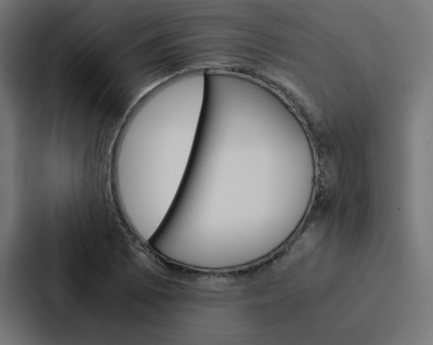 X0000088191073200705150955