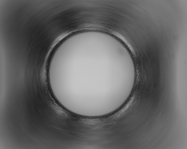 X0000088191074200705150955