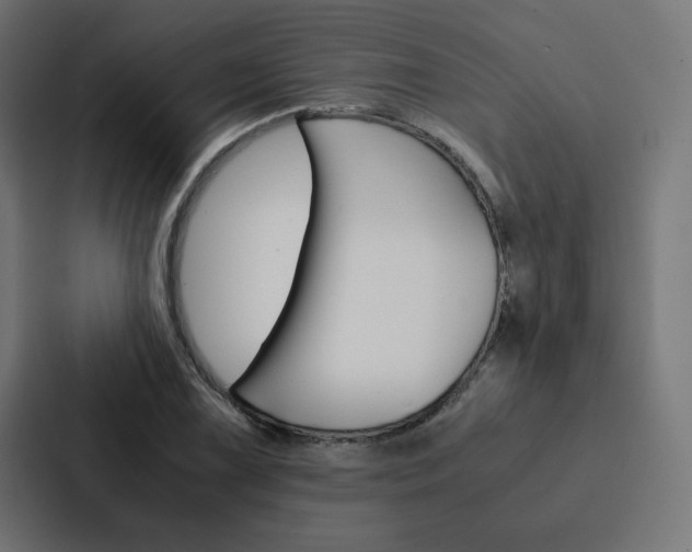 X0000088191075200705150955