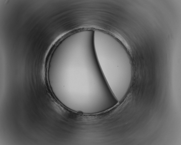 X0000088191076200705150955