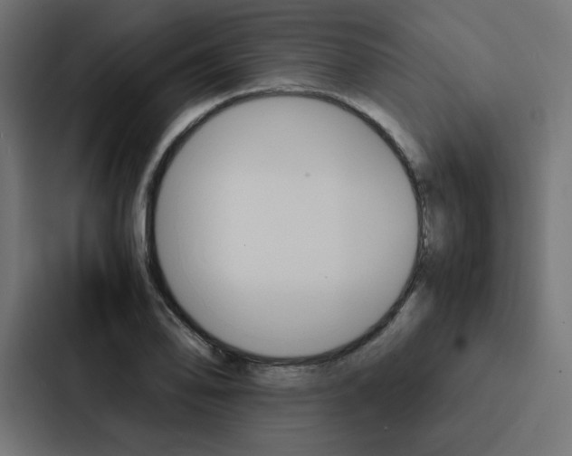 X0000088191078200705150954