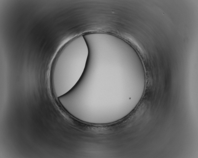 X0000088191079200705150954