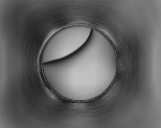 X0000088191082200705150954