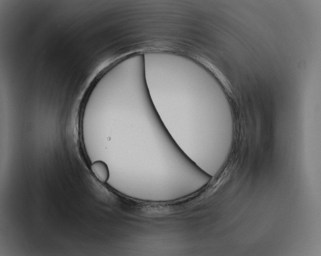 X0000088191083200705150954