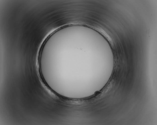 X0000088191084200705150954