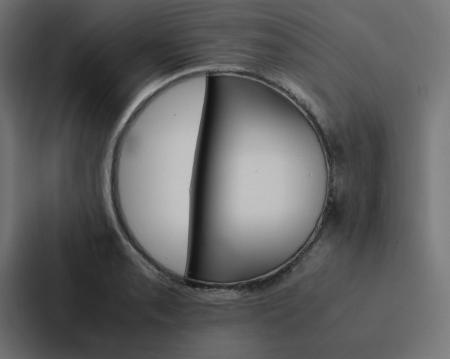 X0000088191085200705150954