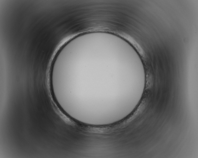X0000088191086200705150954