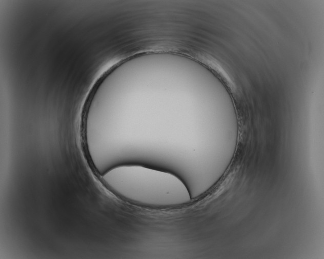 X0000088191087200705150954