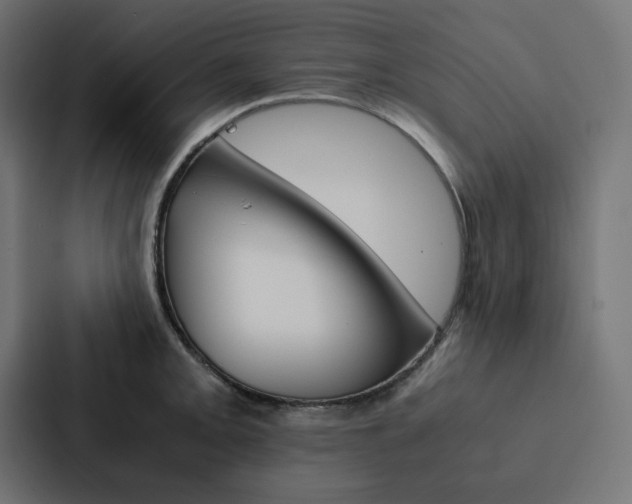 X0000088191093200705150954