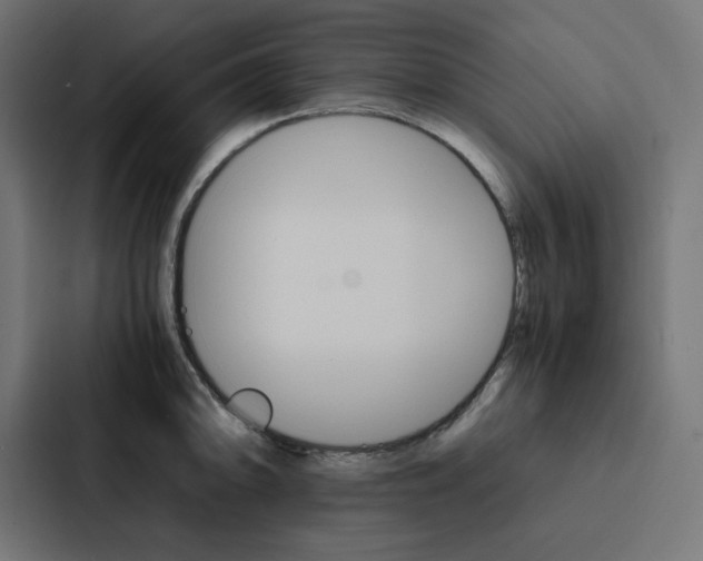 X0000088191094200705150954