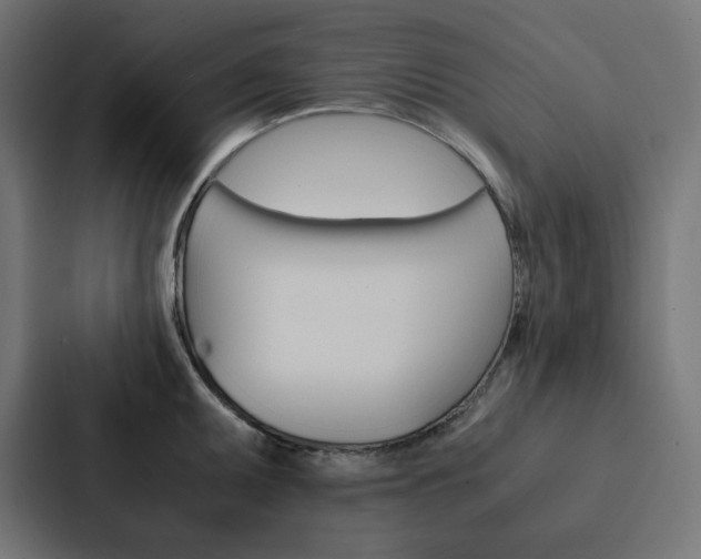 X0000088191095200705150954